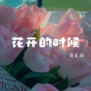 花开的时候