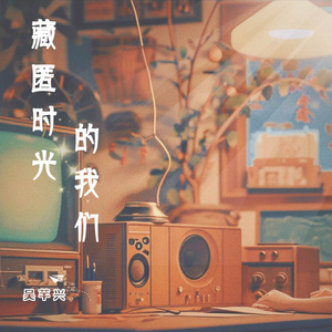 藏匿时光的我们