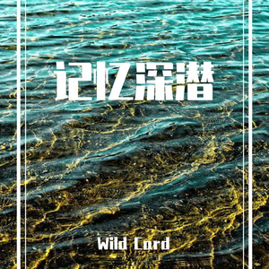 记忆深潜（Prod by Zy.prodution）
