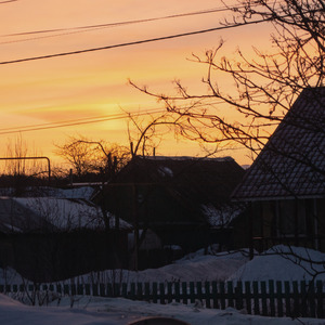 Winter Morning