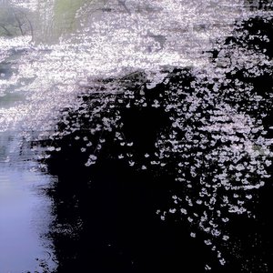 买辣椒也用券-起风了·纯音乐（安语柚. remix）