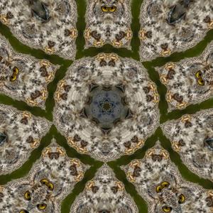 The Saami, Samoyed, Yukaghir, Chukchee, Koryak, and Eskimo