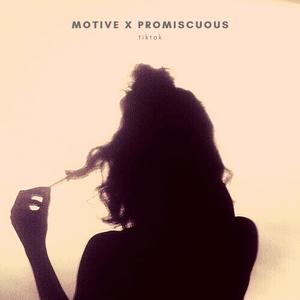 Motive x Promiscuous