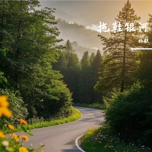 拖鞋银河