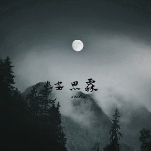 词不达意