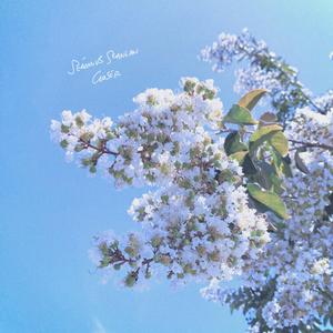 Closer (Spring Acoustic) (Spring Acoustic)