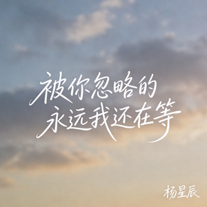 被你忽略的永远我还在等