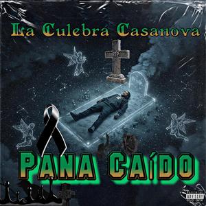 Pana Caído