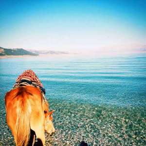 天龙八部之宿敌