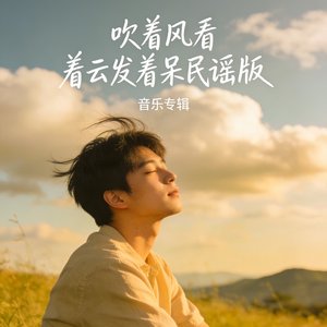 吹着风看着云发着呆民谣版.mp3