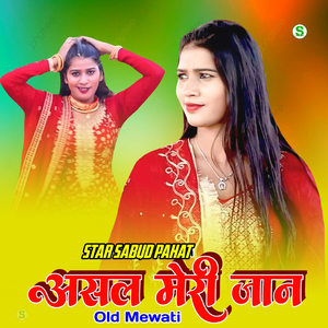 असलम मेरी जान ओल्ड मेवाती