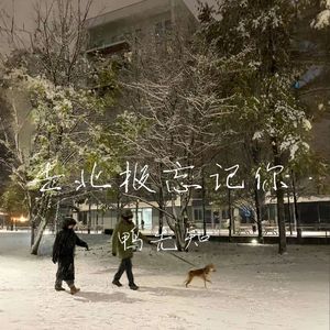 Gareth.t-去北极忘记你