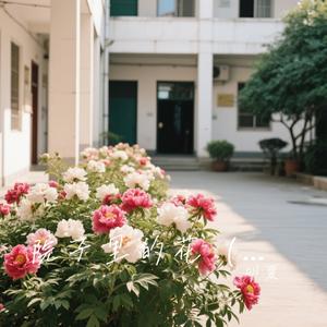 院子里的花（纯音乐）