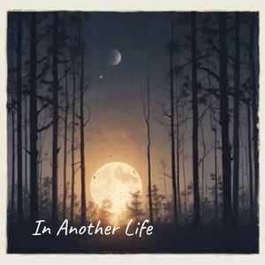 In Another Life