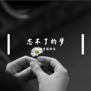 忘不了的梦