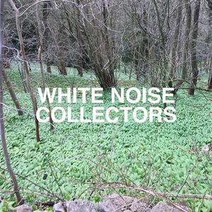 Epilator Non Stationary