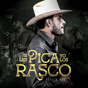 Si Les Pica Yo Les Rasco (En Vivo)