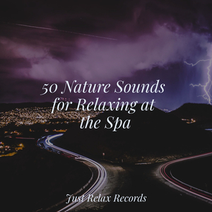 Whispers of the Celestial Garden