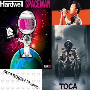 Hardwell - 月半小夜曲 Toca Spaceman (EDM BOBBY Mashup)
