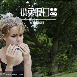 夜空中最亮的星（口琴版）