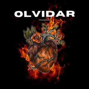 Olvidar