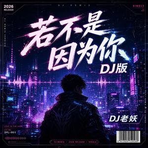若不是因为你(DJ版)