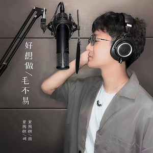 好想做毛不易 伴奏