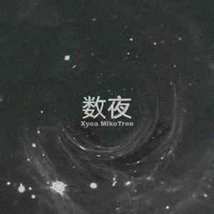 数夜