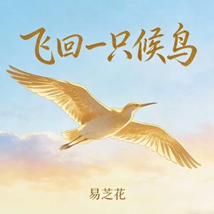 飞回一只候鸟