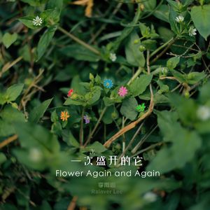 这座城市在下雨