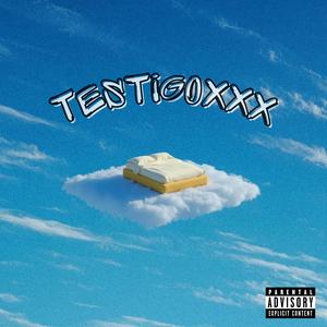 TESTIGXXX
