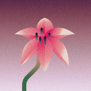 Lilja, ruusu, kirsikkapuu