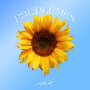 Problèmes