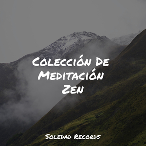 Relajarse