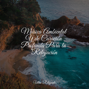 Calor De La Chimenea