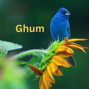 Ghum