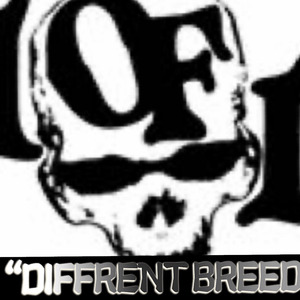 Diffrent Breed