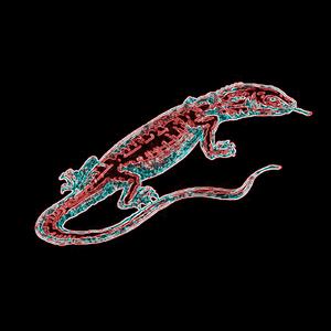 Club Nation (Feel So High)