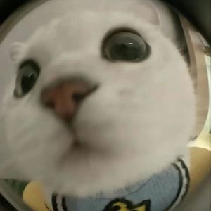 开门 系窝（demo）（prod.JestonBeatz）