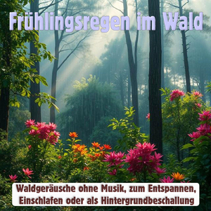 Frühlingsregen im Wald 14