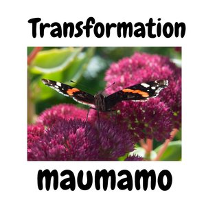 The Other Side Of Goodbye