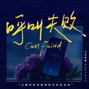 呼叫失败（Call Failed）