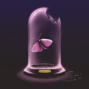 Crush The Mirrors (feat. Chunk! No, Captain Chunk!)