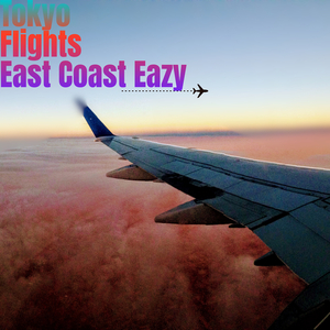 Tokyo Flights