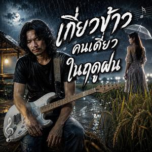 เกี่ยวข้าวคนเดียวในฤดูฝน