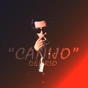 Canijo (Delirio)Audio Ofical