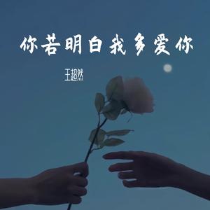 你若明白我多爱你