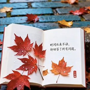 枫叶飞舞