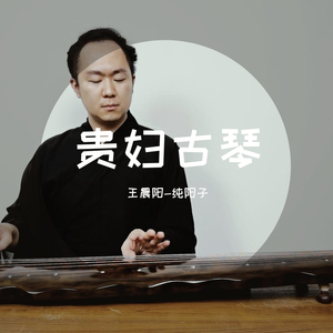 贵妇古琴（翻自 Post Malone）