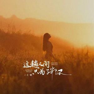 这趟人间只为了等你